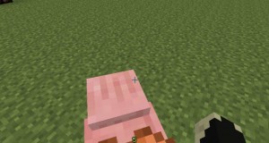 piggy-back-ride-3