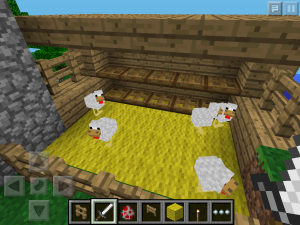 chicken-coop