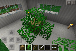 bush