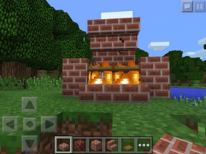 bbq1