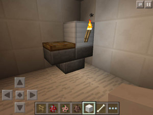 toilet-pe